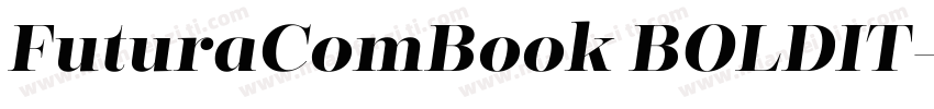 FuturaComBook BOLDIT字体转换